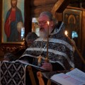 Photo 07